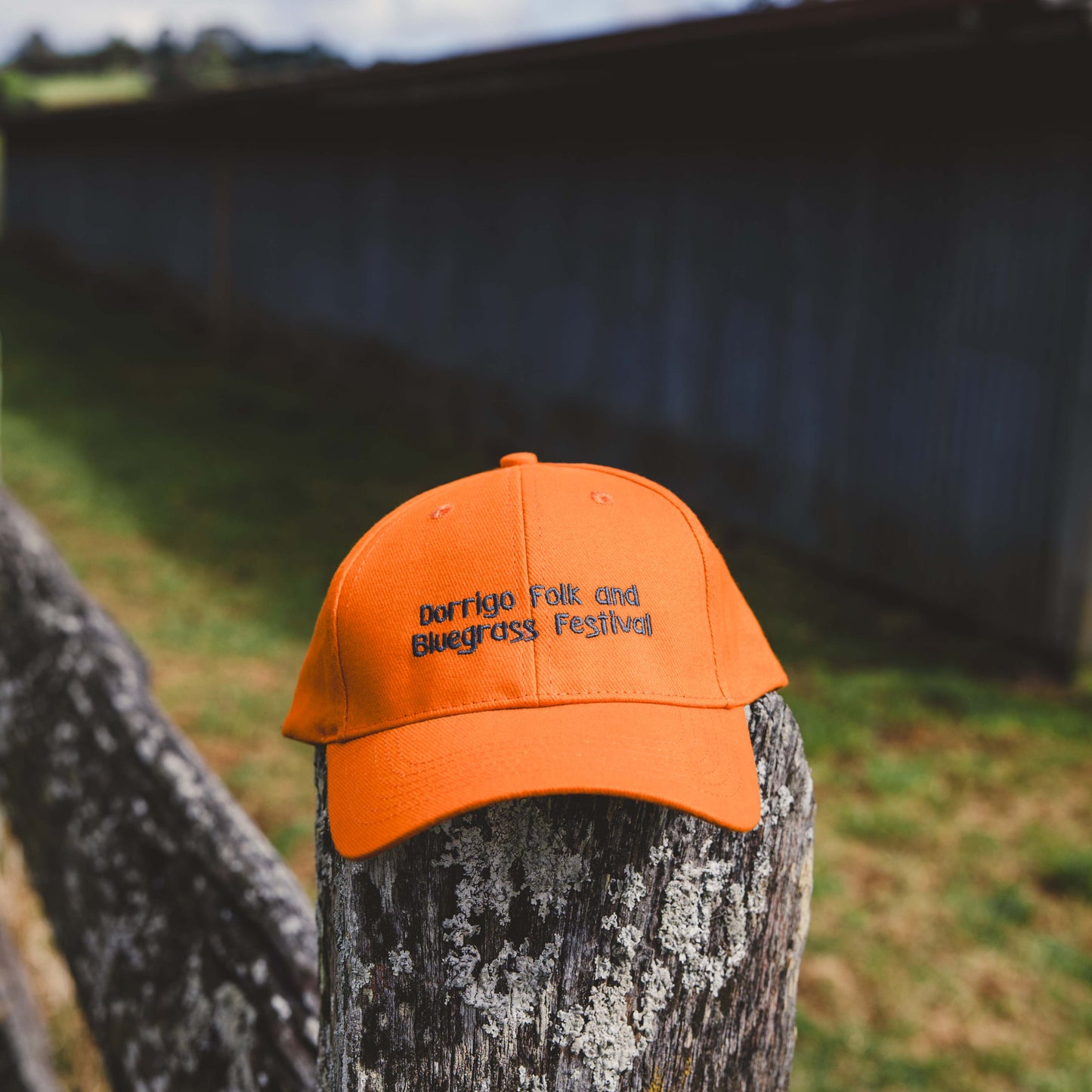 Festival Caps